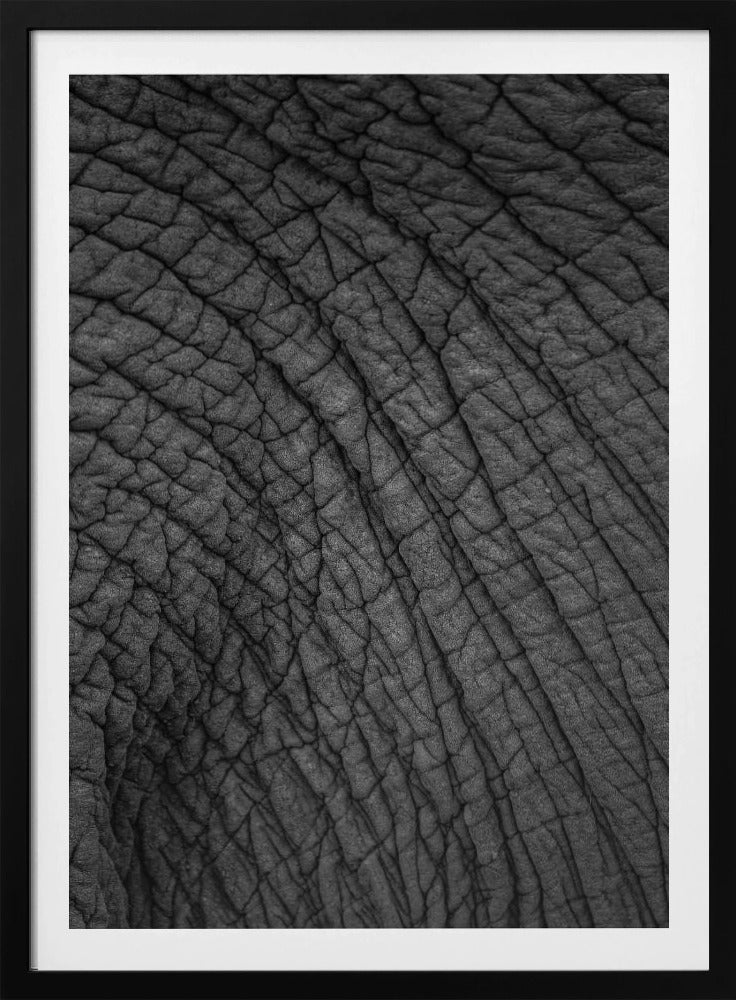 Elephant&#039;s Tapestry | Poster