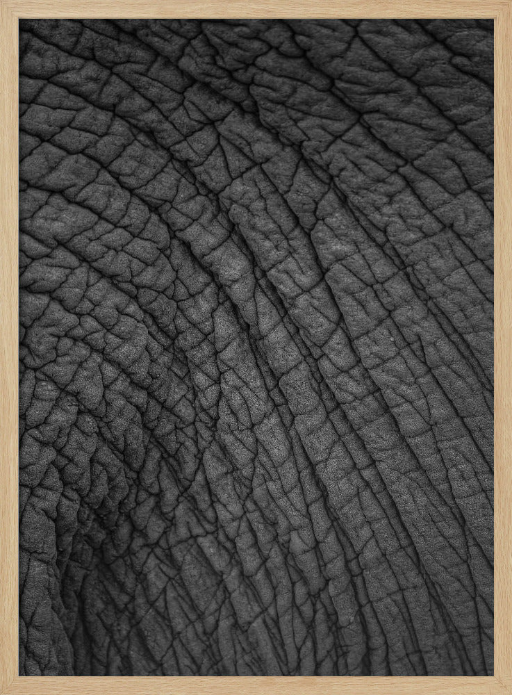 Elephant&#039;s Tapestry | Poster