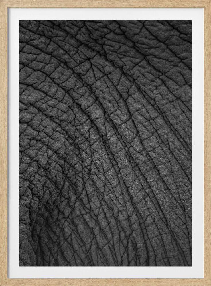 Elephant&#039;s Tapestry | Poster