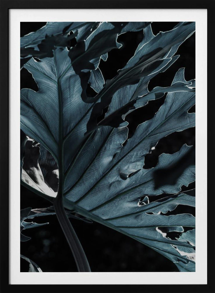 Leafy Shadowscape | Poster