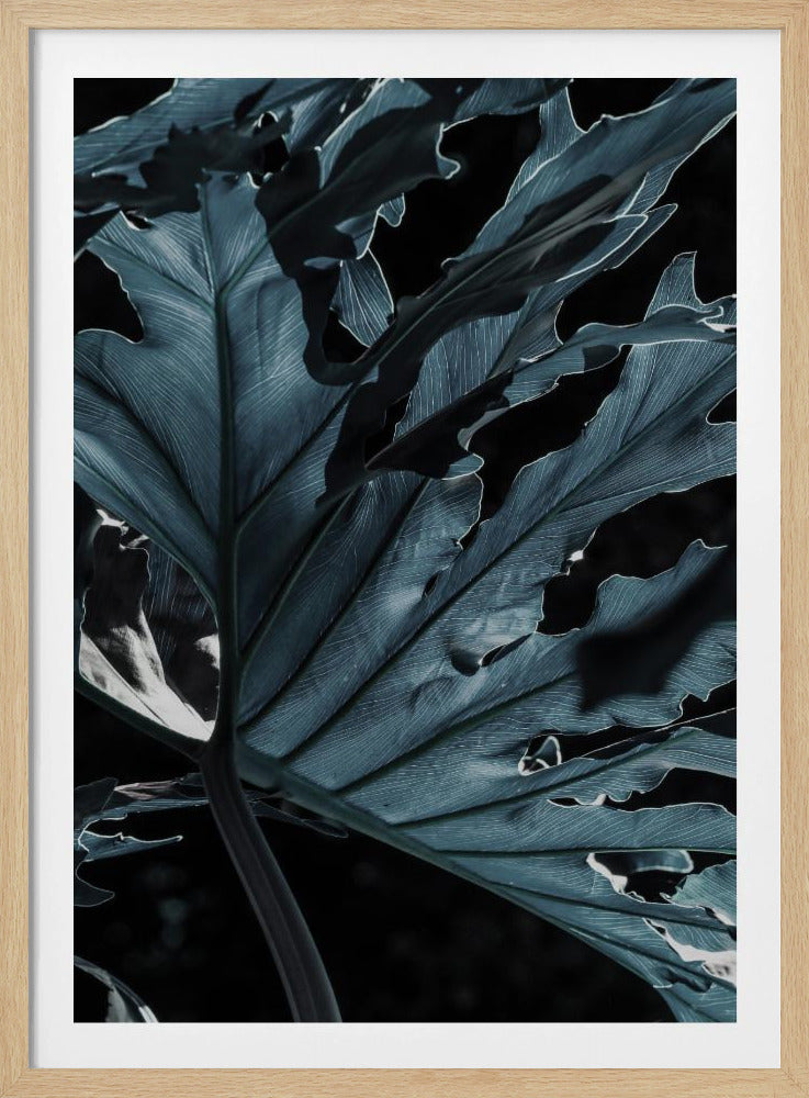 Leafy Shadowscape | Poster