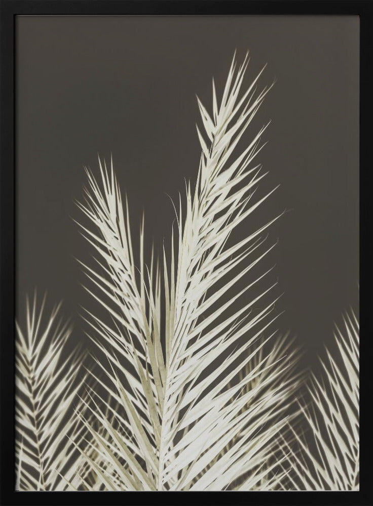 Luminescent Fronds | Poster