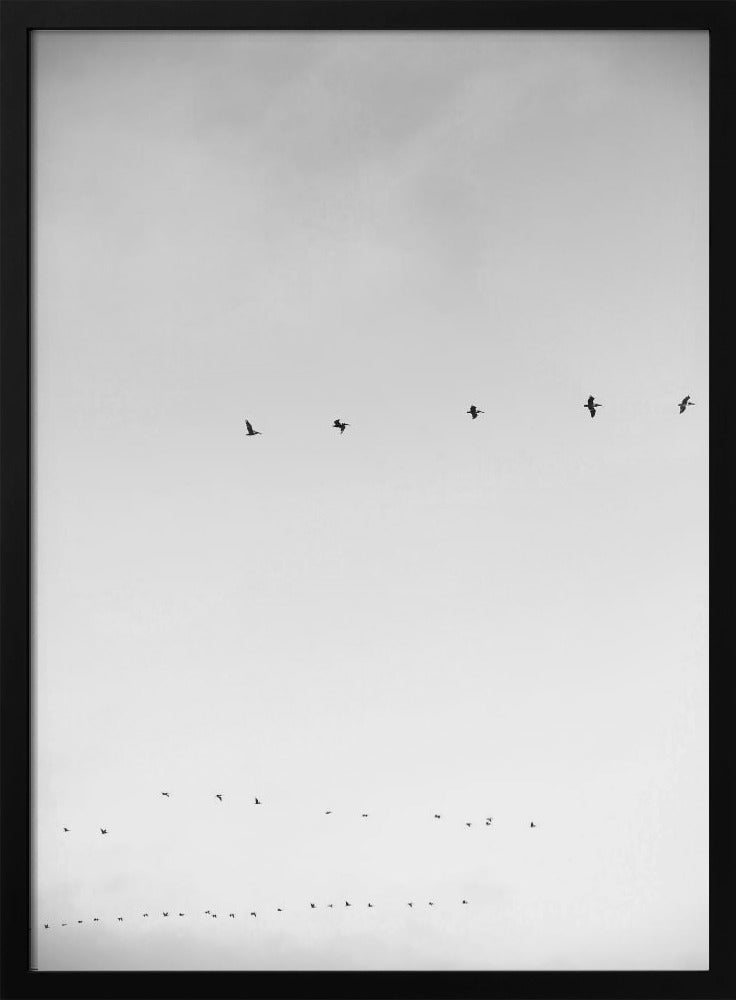 Skyward Flight | Poster