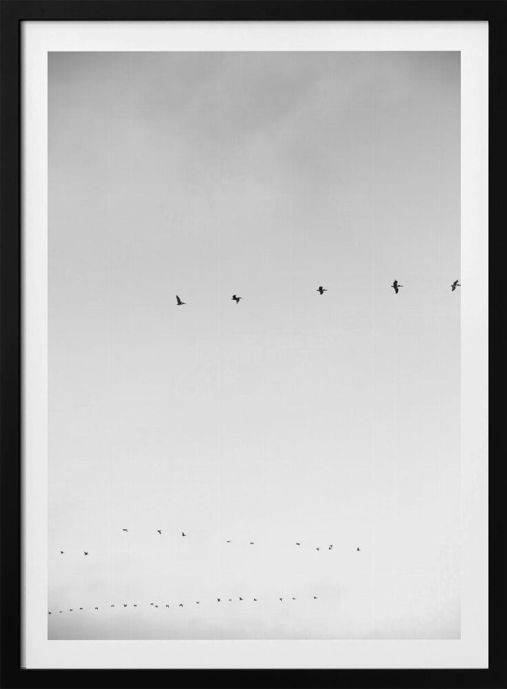 Skyward Flight | Poster