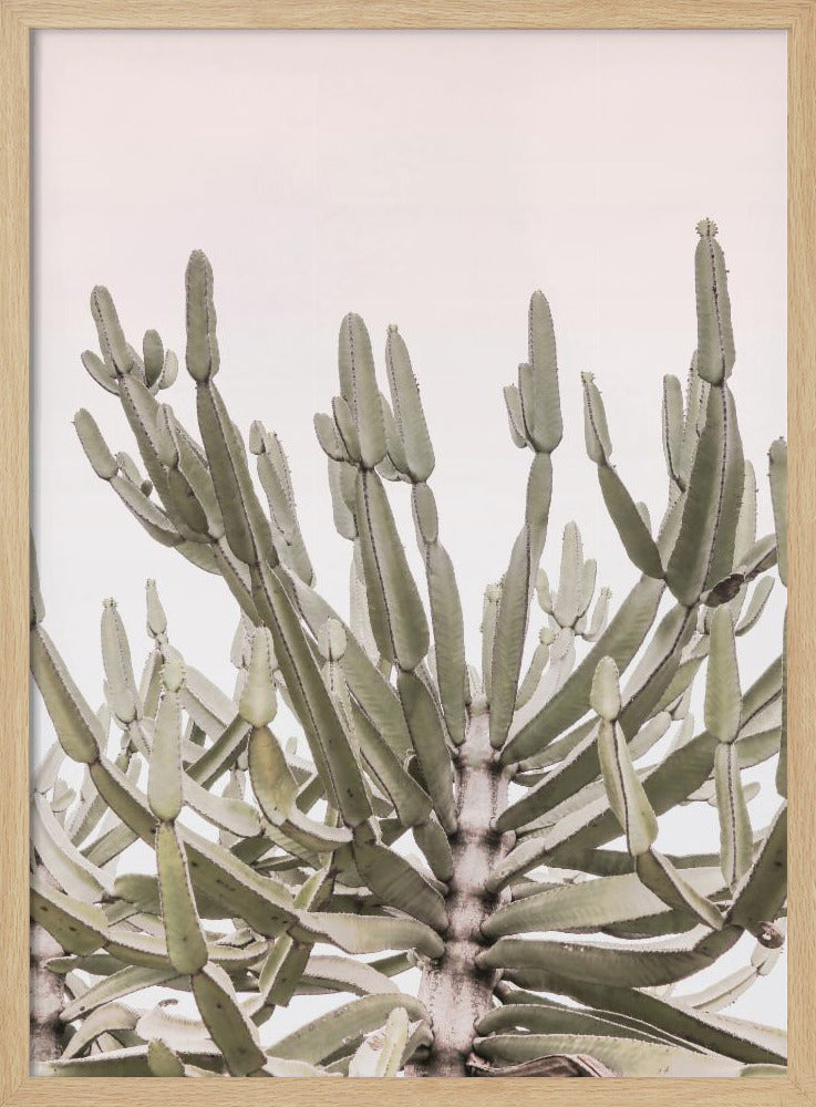 Serene Desert Growth | Poster