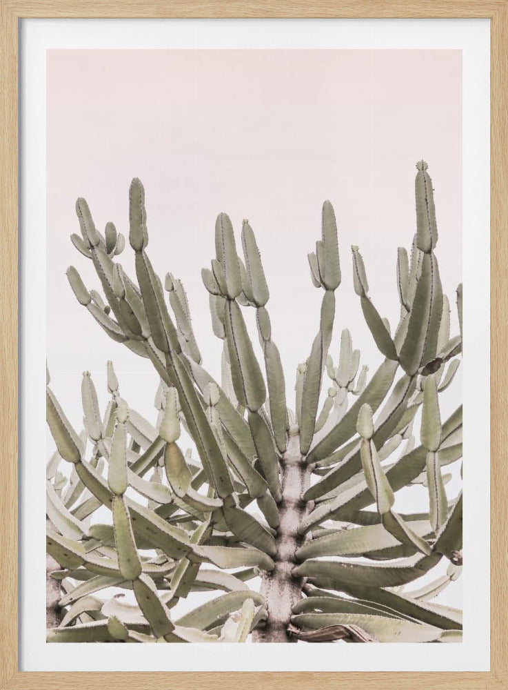 Serene Desert Growth | Poster