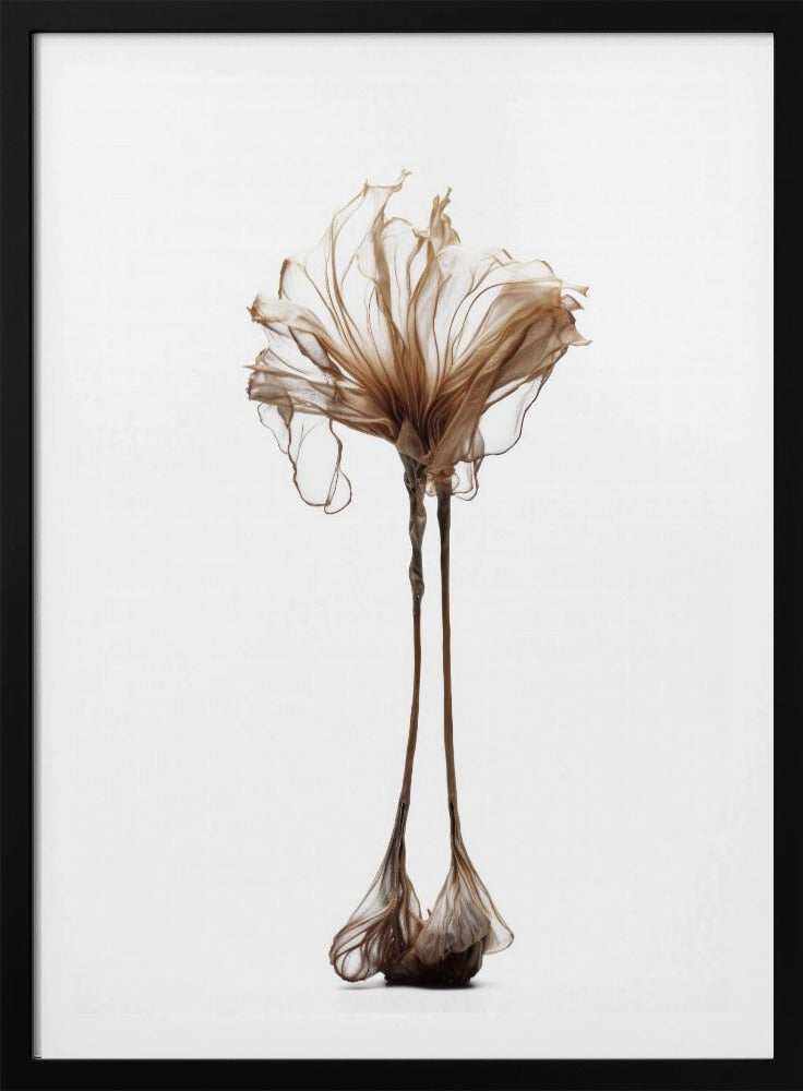 Delicate Whimsy | Poster