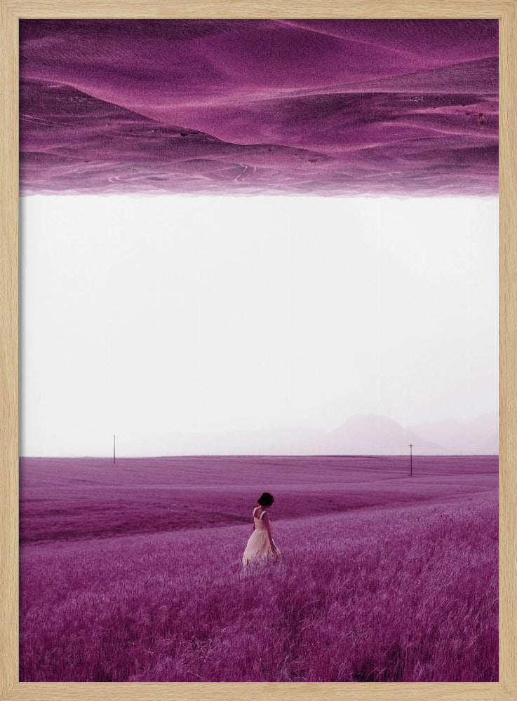 Purple Fields | Poster