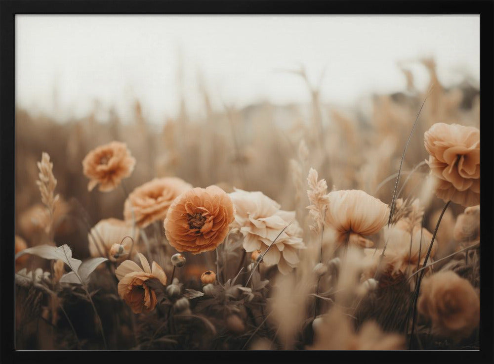 Petals in Sepia | Poster
