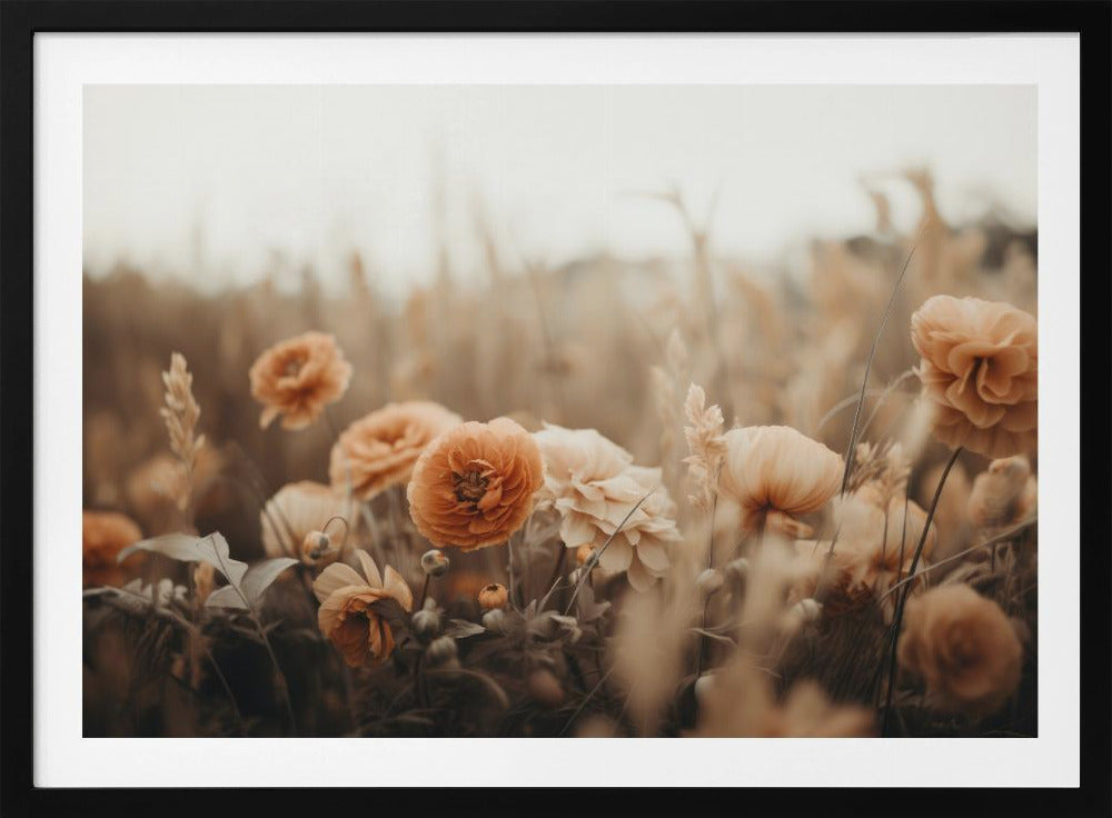 Petals in Sepia | Poster