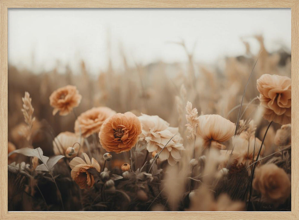 Petals in Sepia | Poster