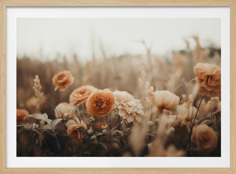Petals in Sepia | Poster