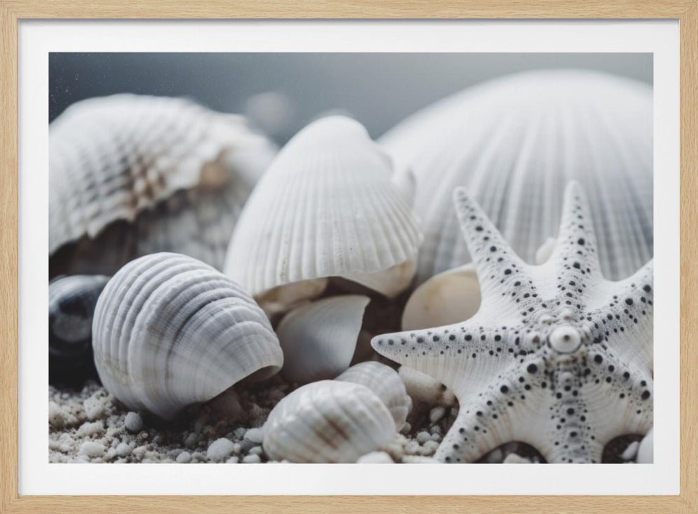Seashell Symphony | Poster