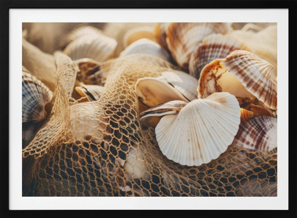 Seashell Symphony | Poster