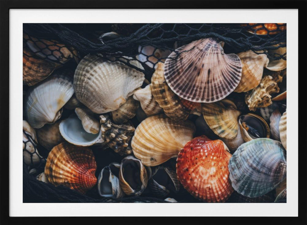 Shell Symphony | Poster