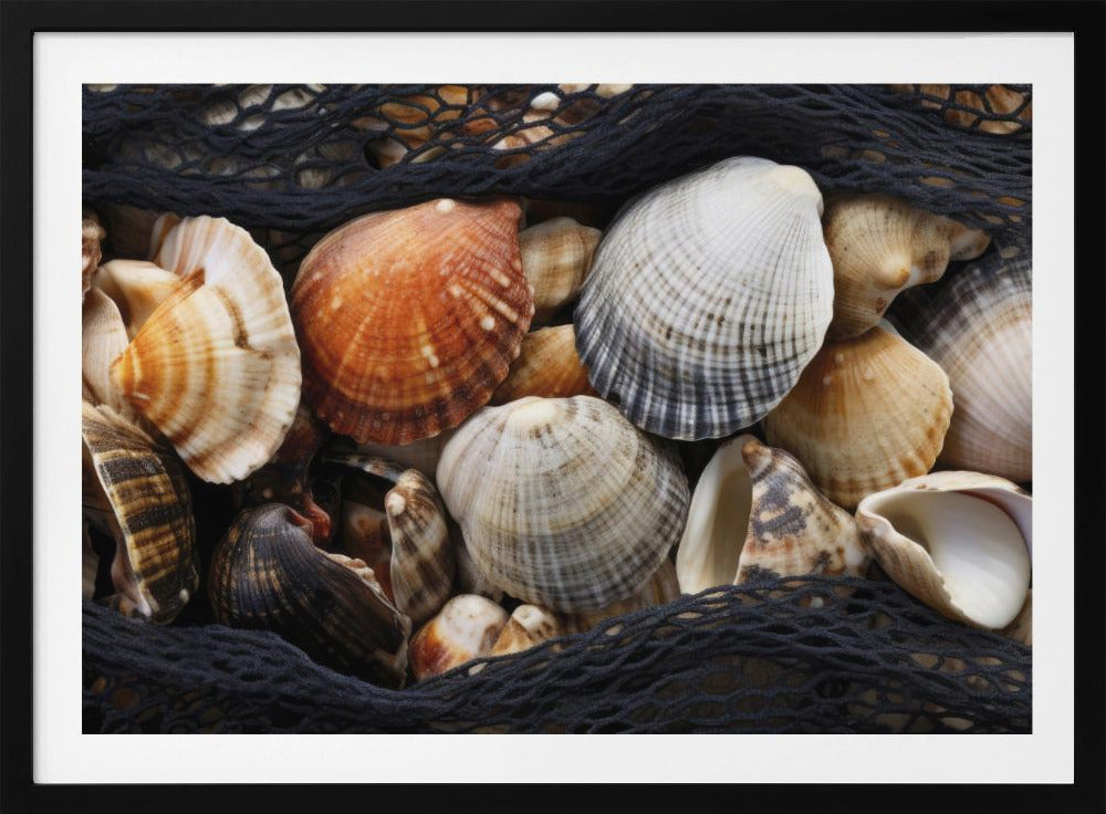Seashell Tapestry | Poster