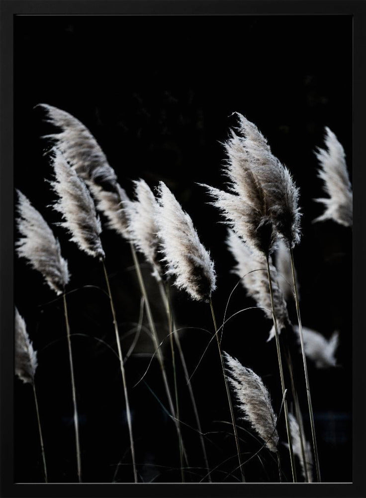 Grass 4 | Poster