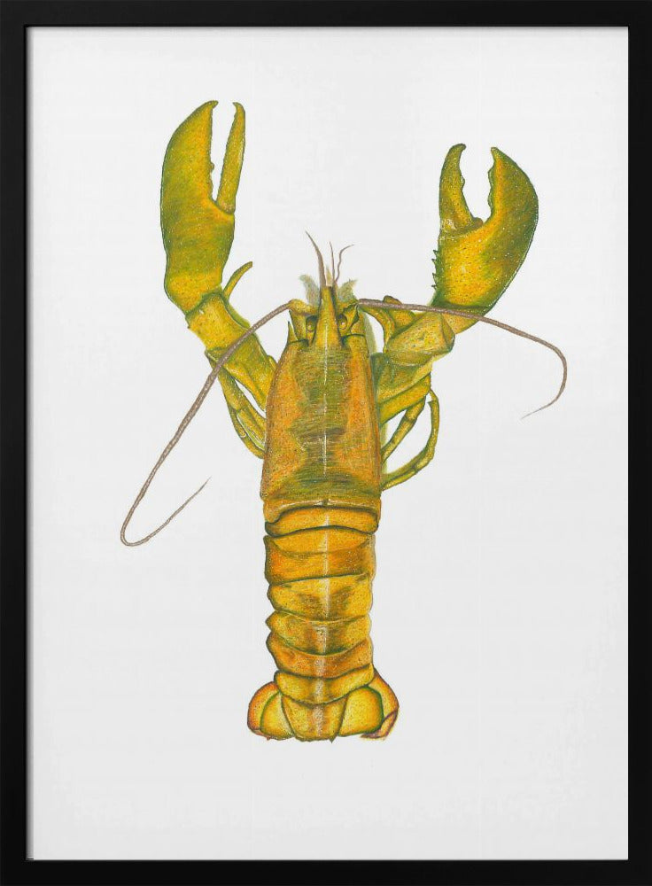 Lobster | Poster