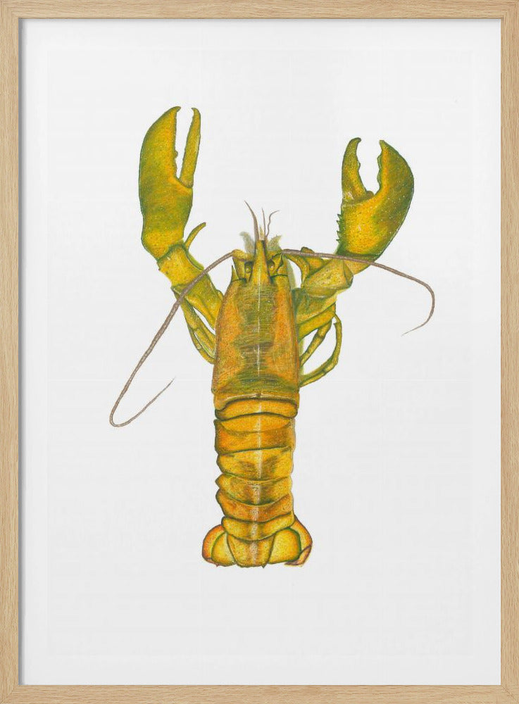 Lobster | Poster