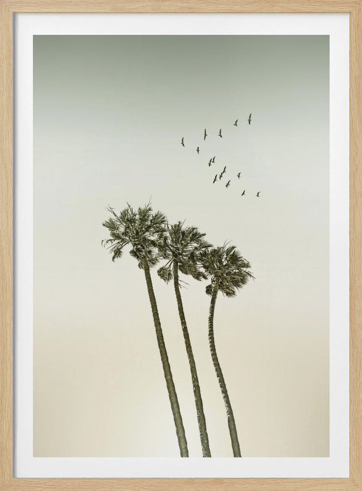 Vintage minimalist palm trees &amp; sunset | Poster