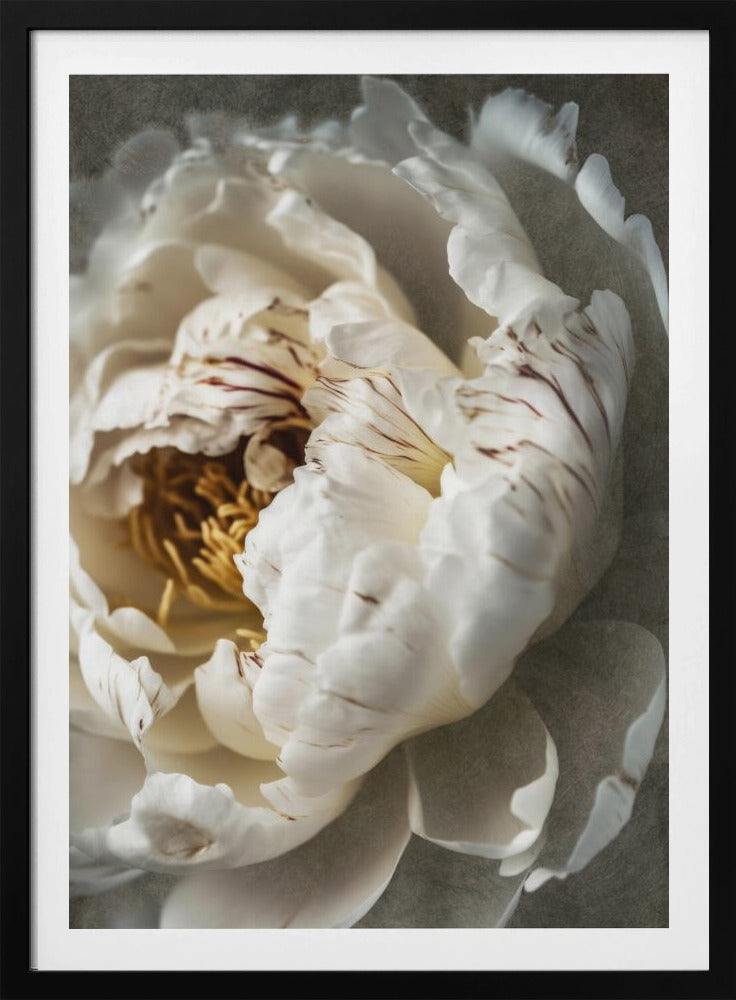 Petals of Serenity | Poster