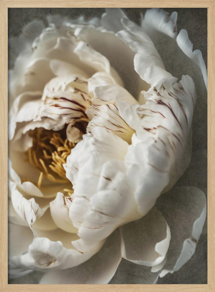 Petals of Serenity | Poster