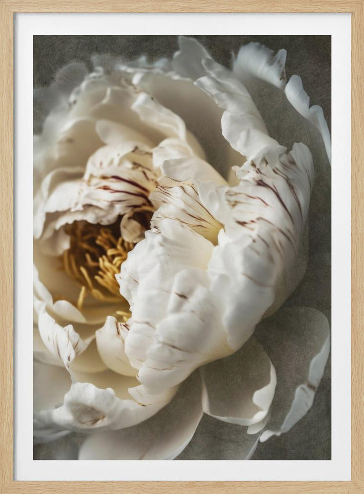 Petals of Serenity | Poster