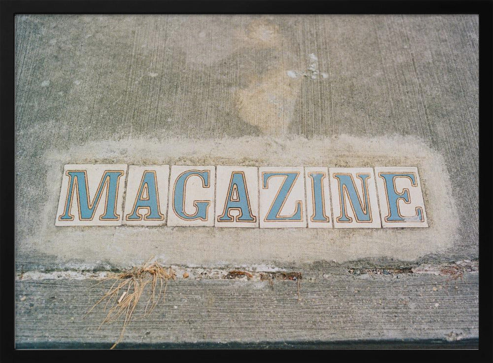 New Orleans Magazine Street | Poster
