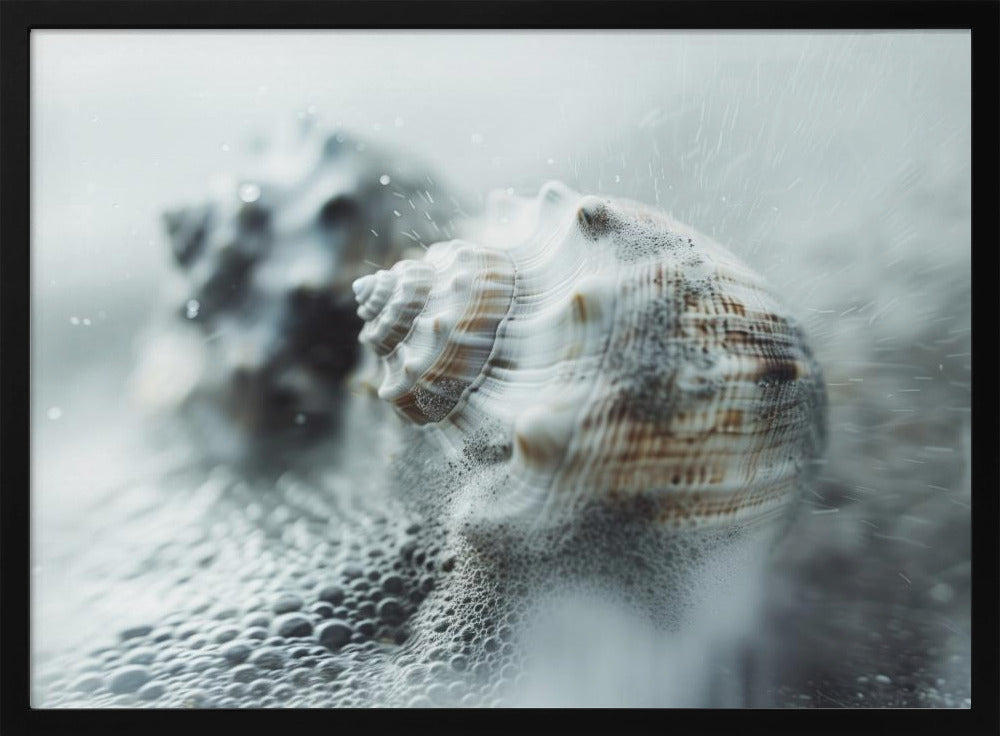 Shells in Ocean Mist | Poster