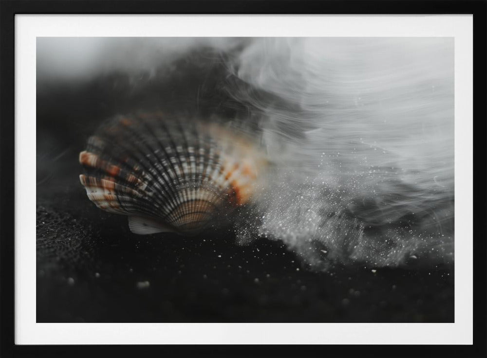 Whispering Shell | Poster