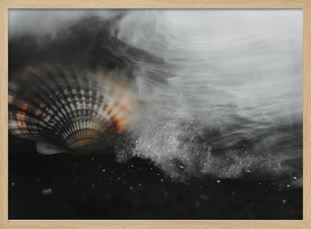 Whispering Shell | Poster