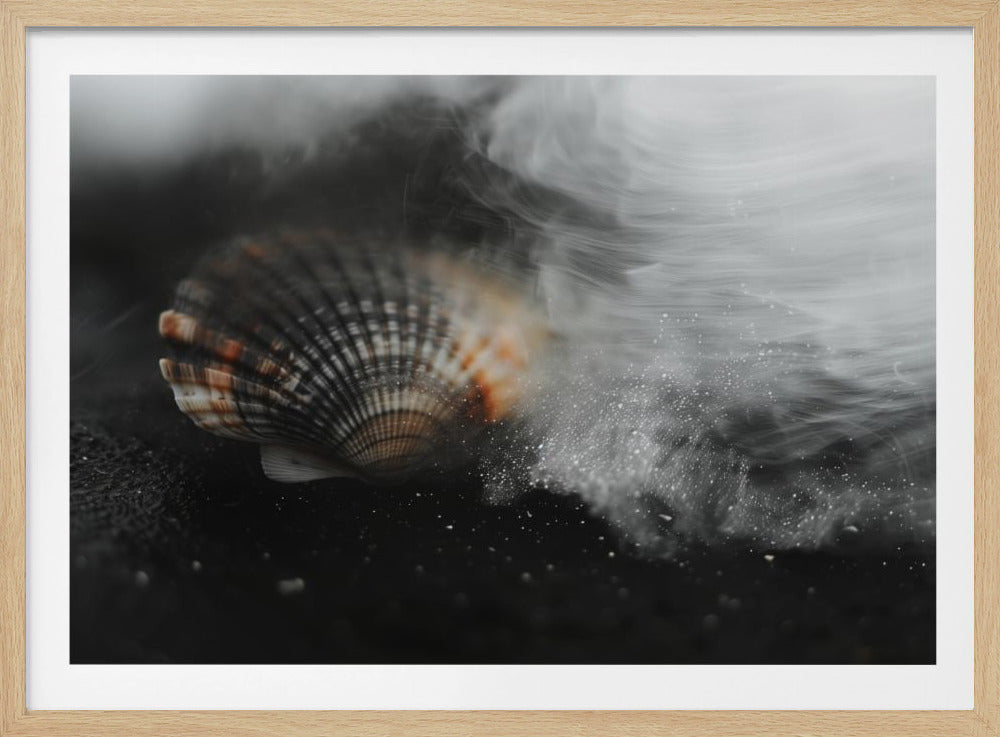 Whispering Shell | Poster
