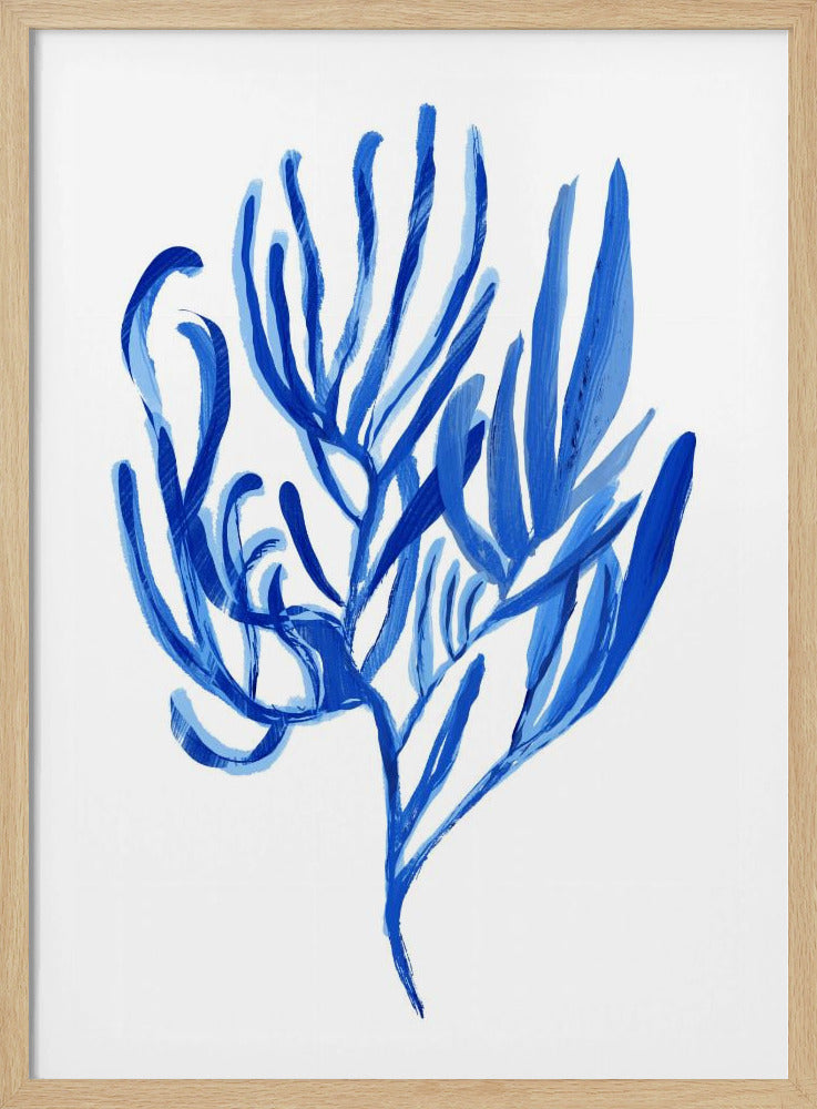 Blue Aquatic Plant Poster 4 | Poster