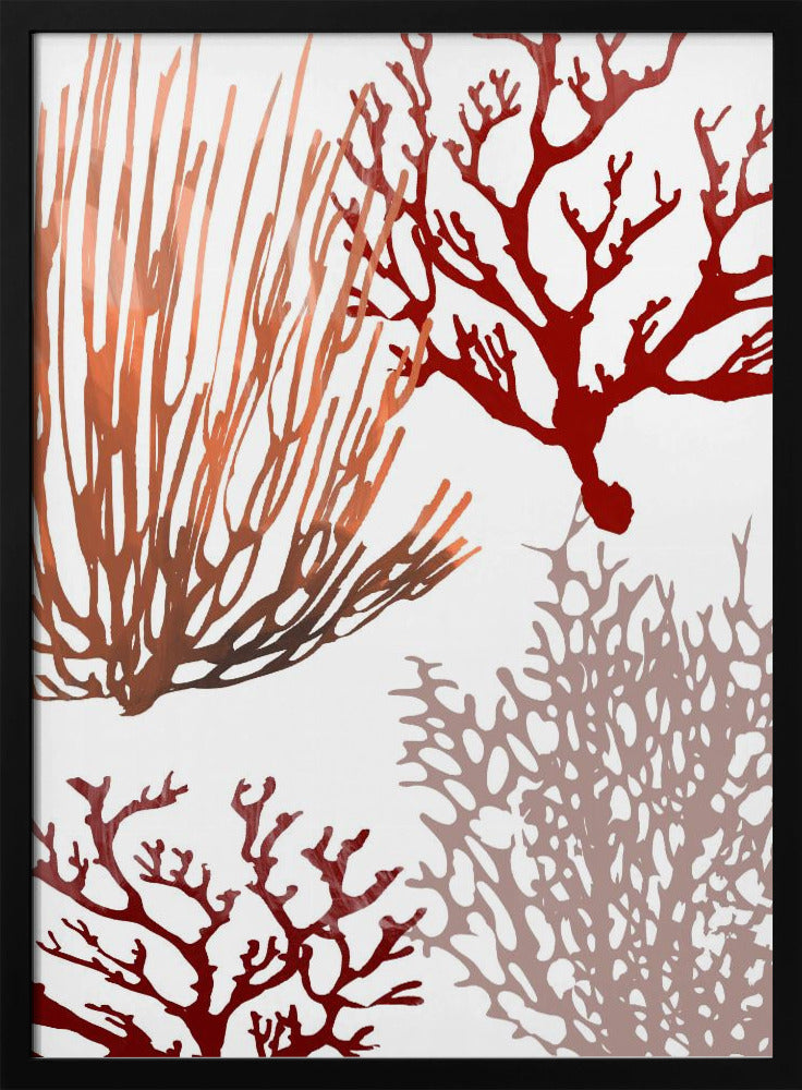 Pink and Red Sea Coral | Poster