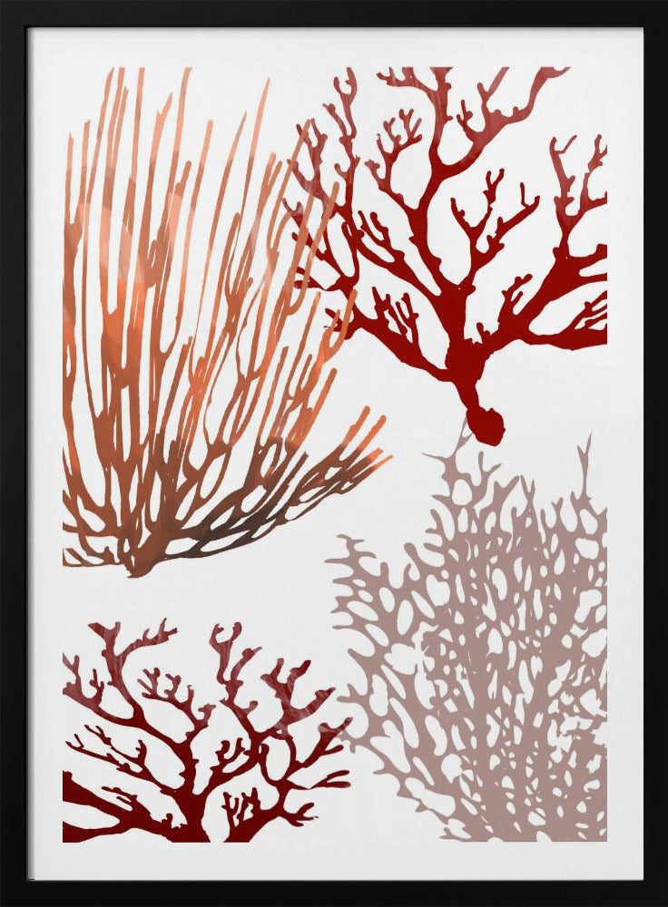 Pink and Red Sea Coral | Poster
