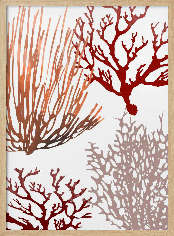 Pink and Red Sea Coral | Poster