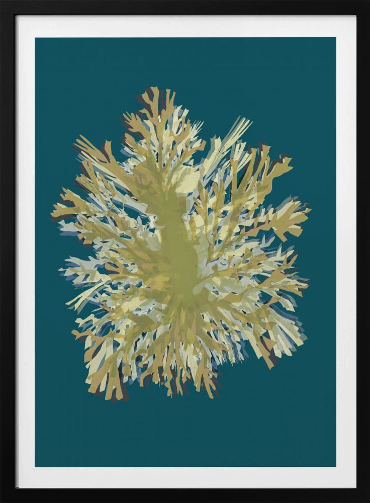 Seaweed  Poster 1 | Poster