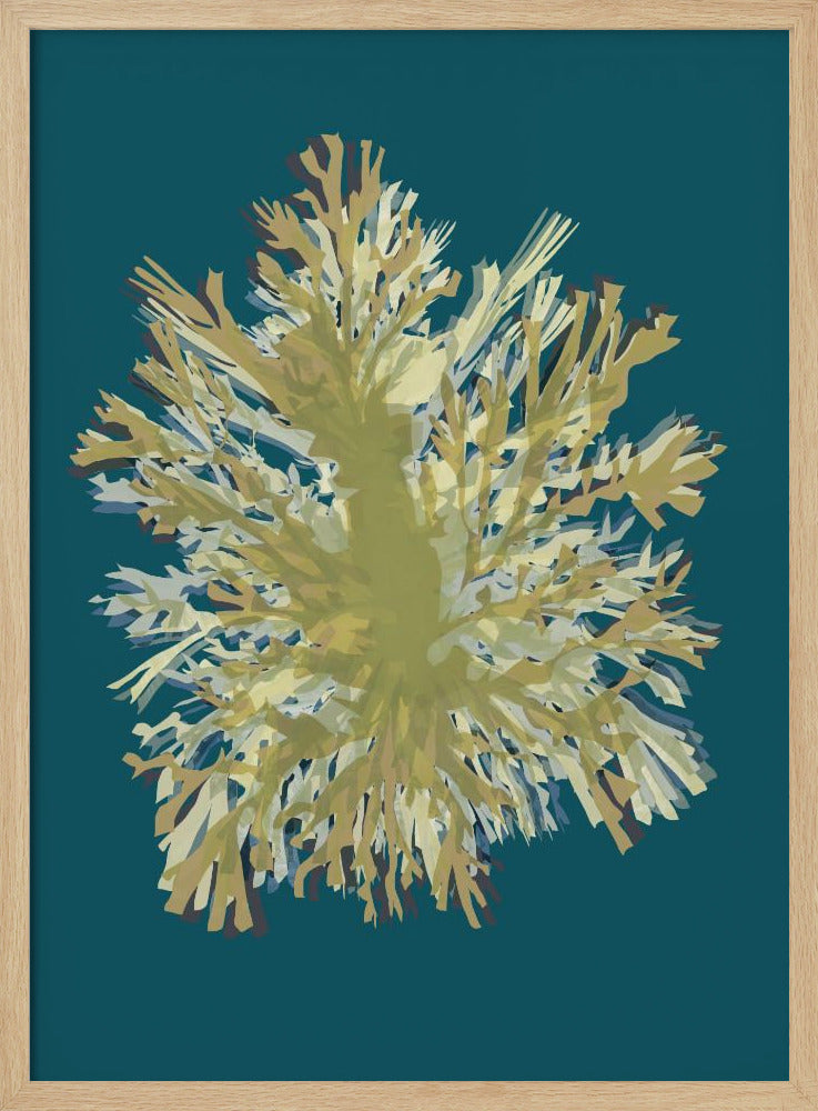 Seaweed  Poster 1 | Poster