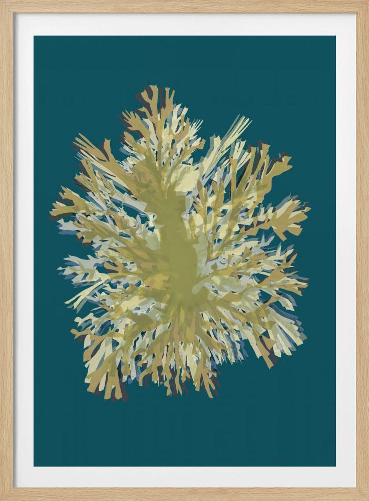 Seaweed  Poster 1 | Poster
