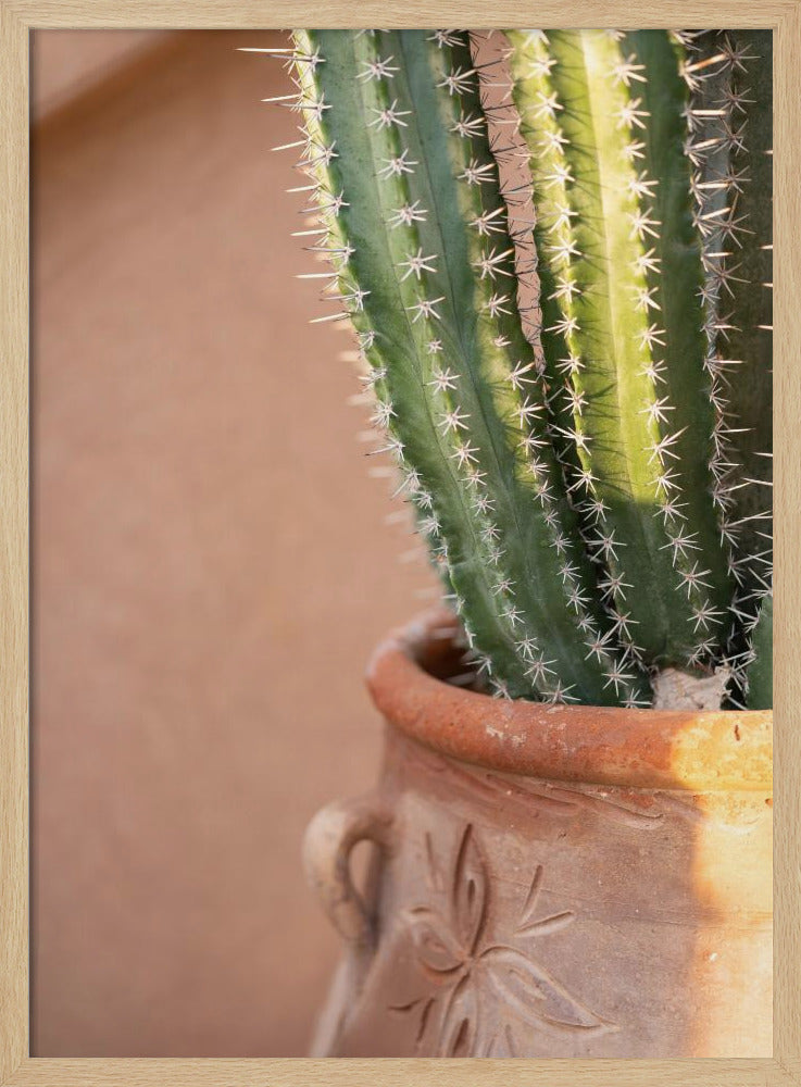 Green On Orange | Marrakech Travel Photography | Poster
