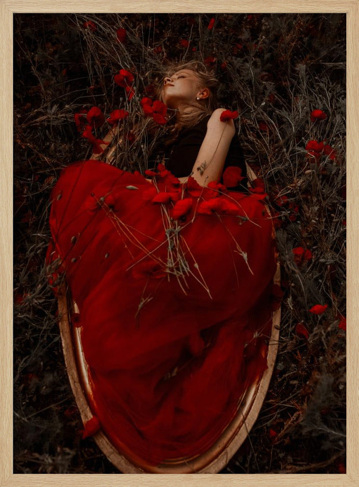 Framed in poppies | Poster