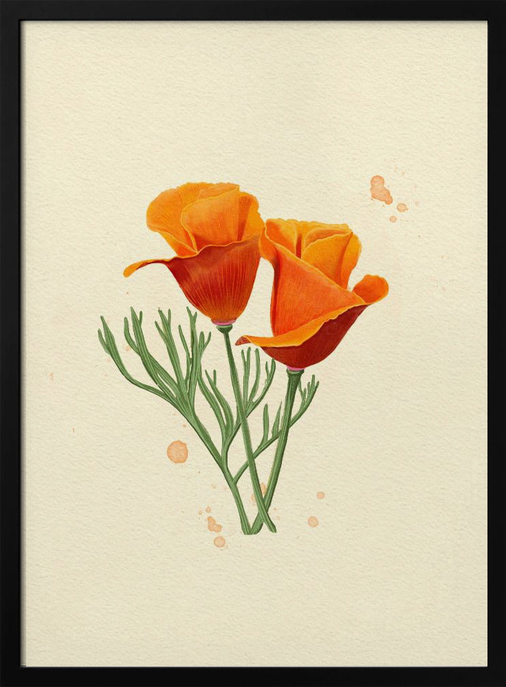 California Poppy | Poster