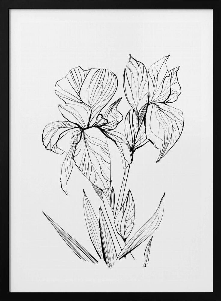 Irises | Poster