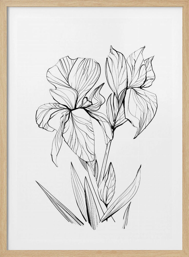 Irises | Poster