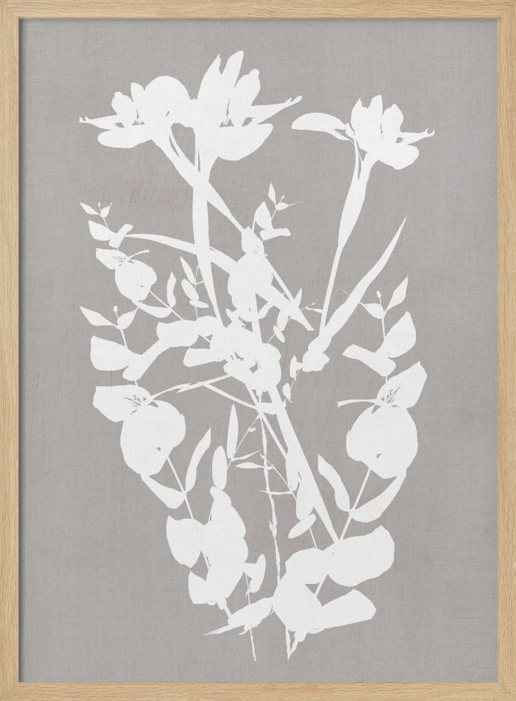 Botanical Illustration 1 | Poster