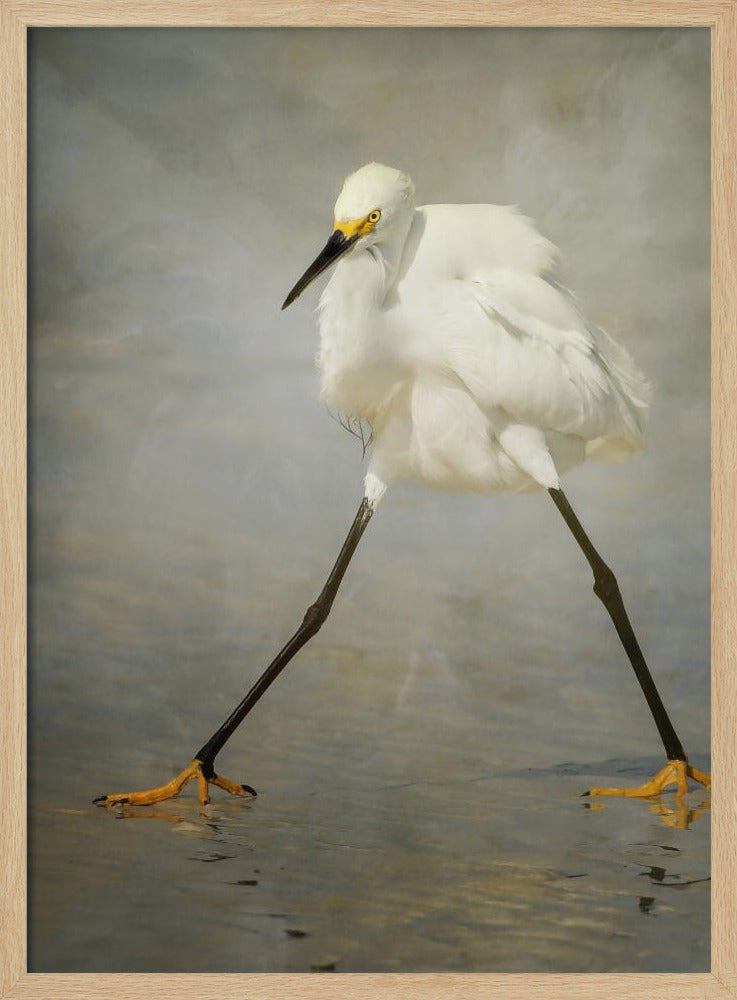 The Rock Star | Poster