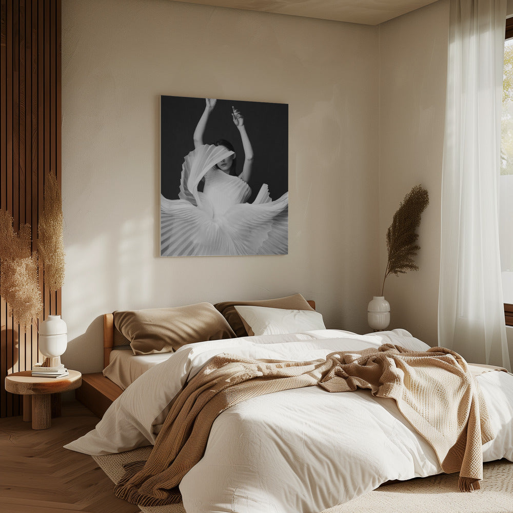 Amadeus | Canvas