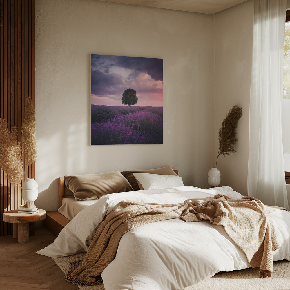Lavender Fields, Isparta | Canvas