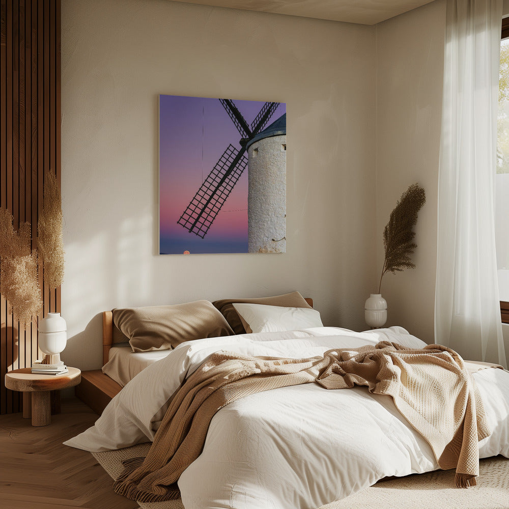 DON QUIXOTE'S DREAM | Canvas