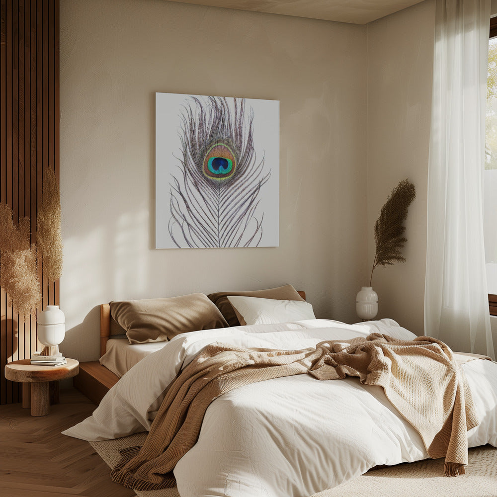 Peacock Feather | Canvas